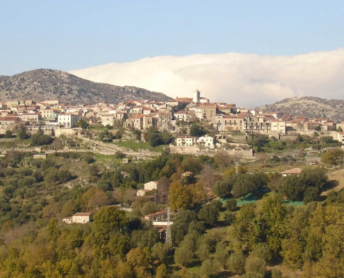 tortorella_generale