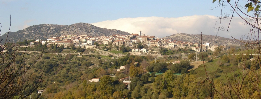 tortorella_generale